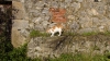 DSC00114 DSC00114