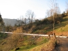 IMG 7353 IMG 7353