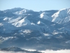 IMG 7358 IMG 7358