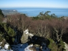IMG 7381 IMG 7381