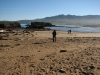 IMG 7390 IMG 7390