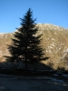 IMG 7427 IMG 7427