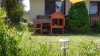 DSC00013 DSC00013