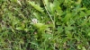 DSC00045
