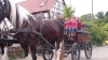 DSC00057 DSC00057