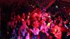 IMG 0288 IMG 0288