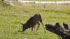 DSC00139 DSC00139