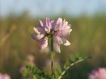 pa092043 pa092043
