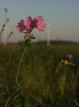 pa092049 pa092049