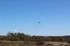 IMG 0082 IMG 0082