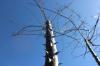 IMG 0091 IMG 0091