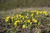 IMG 0096 IMG 0096