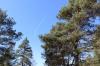 IMG 0097 IMG 0097