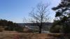 IMG 0129 IMG 0129