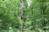 IMG 0157 IMG 0157