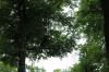 IMG 0162 IMG 0162