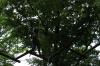 IMG 0165 IMG 0165