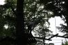 IMG 0168 IMG 0168