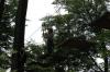 IMG 0181 IMG 0181