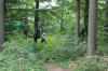 IMG 0197 IMG 0197