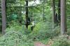 IMG 0199 IMG 0199
