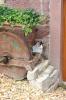 IMG 0215 IMG 0215