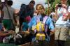 IMG 0310 IMG 0310