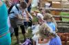 IMG 0335 IMG 0335