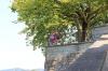 IMG 0157 IMG 0157