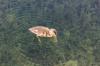 IMG 0174 IMG 0174