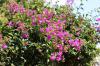 IMG 0180 IMG 0180