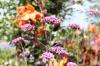 IMG 0185 IMG 0185