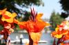 IMG 0187 IMG 0187
