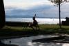 IMG 0223 IMG 0223